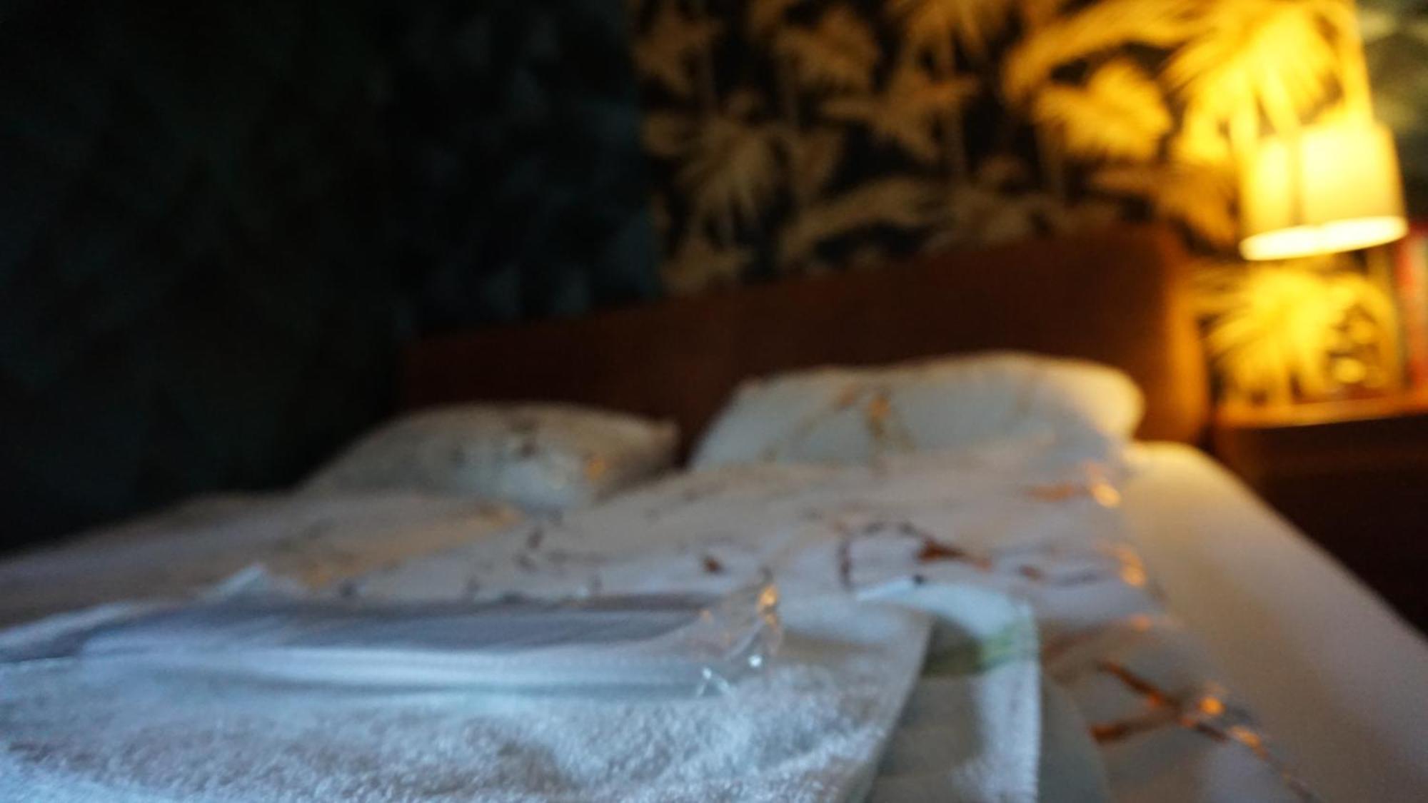 Darkwolf House Apartment Merseburg Ngoại thất bức ảnh